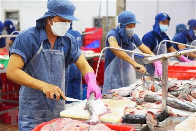 Sau giày dép, đến lượt ngành thủy sản kiến nghị gỡ khó cấp C/O