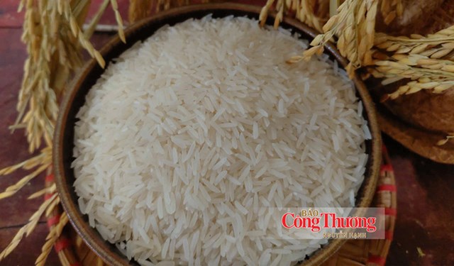 Giá gạo thế giới ‘ấm’ lên, vì sao gạo Việt Nam chưa hưởng lợi?