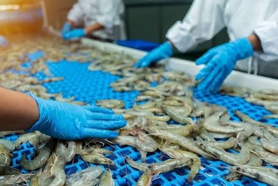 Lợi thế EVFTA giữ vững thị phần xuất khẩu thủy sản của Việt Nam tại EU