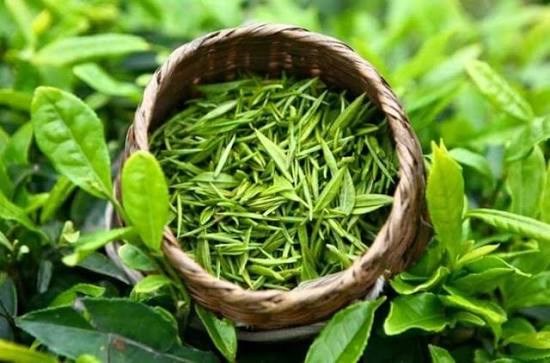 Xuất khẩu chè Việt Nam: Sụt giảm về lượng, bứt phá nhờ đòn bẩy giá