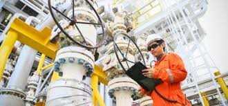 Sản lượng dầu Mỹ dự kiến sẽ giảm lần đầu tiên kể từ năm 2021 