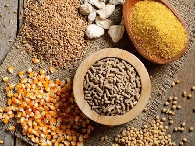 Thông tin thị trường thức ăn chăn nuôi thế giới tháng 4/2025: Phân tích và dự báo