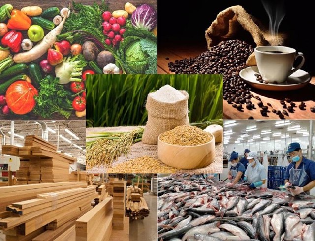 Xuất khẩu nông, lâm, thủy sản Việt Nam tăng 14,3% trong nửa đầu năm 2025