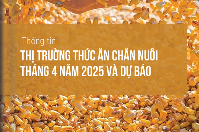 Thông tin thị trường thức ăn chăn nuôi tháng 4 năm 2025 và dự báo