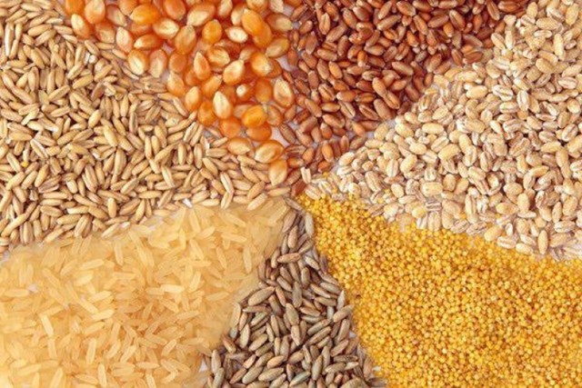 FAO: Thương mại và tồn kho ngũ cốc toàn cầu sẽ giảm trong niên vụ 2024/2025