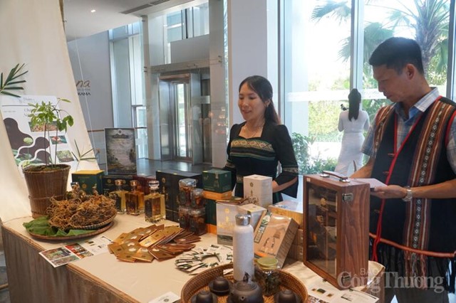 Đà Nẵng: Xúc tiến thương mại sâm Ngọc Linh gắn với du lịch