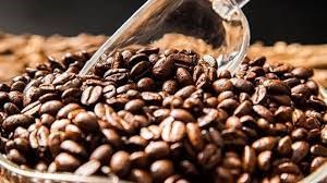 Xuất khẩu cà phê của Costa Rica tăng trong tháng 7 ​