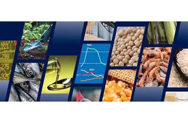 FAO: Sản lượng các loại cây lương thực chủ chốt toàn cầu trên đà lập kỷ lục mới