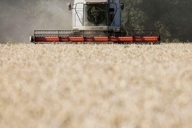 Xuất khẩu ngũ cốc của Ukraine giảm 30% trong niên vụ 2022/2023