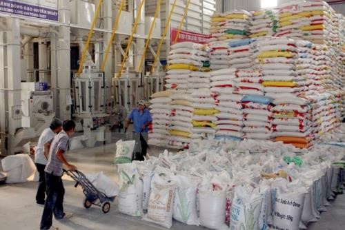Nghị định thư về xuất khẩu gạo sang Trung Quốc: Gỡ khó cho gạo Việt Nam
