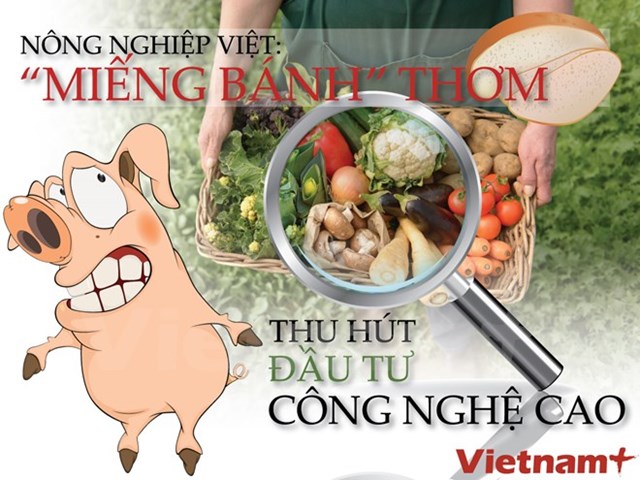 Nông nghiệp Việt: “Miếng bánh” thơm thu hút đầu tư công nghệ cao