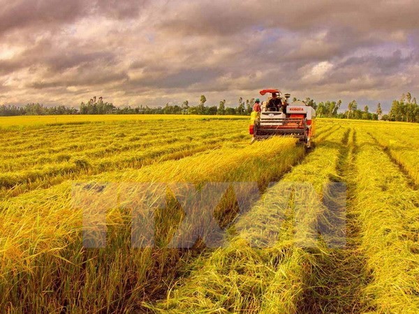 Tăng trưởng GDP chững lại trong sáu tháng đầu năm 2016