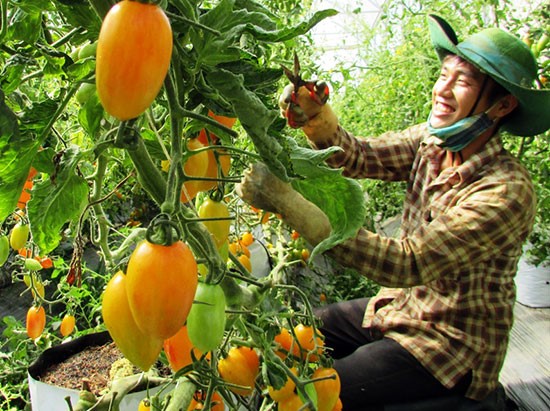 Giới đầu tư Nhật Bản quan tâm đặc biệt đến nông sản Việt
