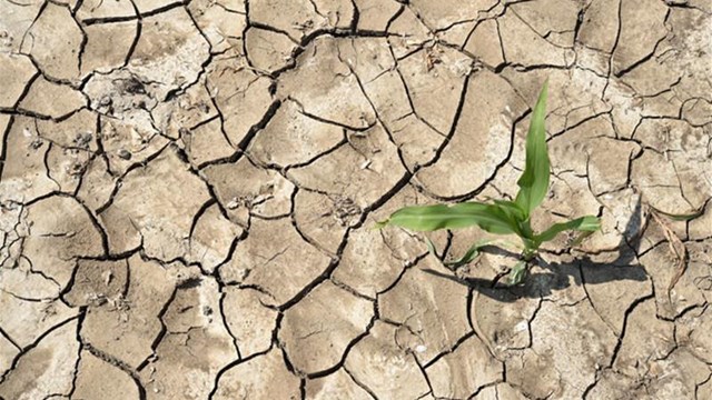 El Nino trở lại, chuyên gia khí tượng đưa ra lời cảnh báo