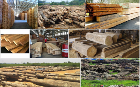 Tương lai của ngành gỗ không chỉ toàn “màu xanh”