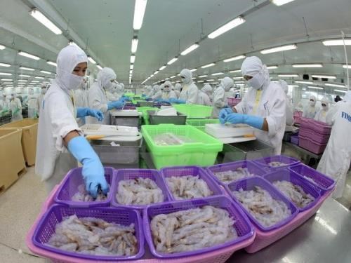 Giải pháp khắc phục thẻ vàng của EU đối với thủy sản Việt Nam