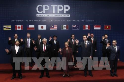 Bộ trưởng Trần Tuấn Anh: CPTPP giúp VN có điều kiện tiếp tục cất cánh ở mức độ mới