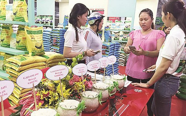 Cách nào nâng giá trị cho gạo Việt ?