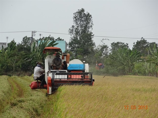 30 năm hạt gạo Việt trở lại thị trường thế giới 