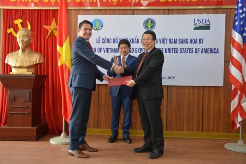Xoài Việt Nam chính thức được xuất khẩu sang Hoa Kỳ