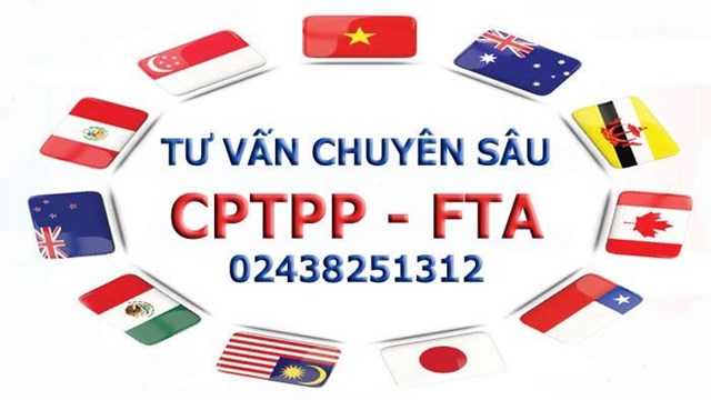 Tư vấn về CPTPP và các FTA Việt Nam đã tham gia ký kết