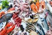 Những mặt hàng thủy, hải sản nào được nhập khẩu miễn thuế vào Trung Quốc?