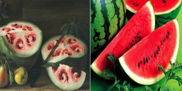 Bất ngờ hình dáng của “tổ tiên” các loại rau củ quả mà chúng ta vẫn ăn thường ngày
