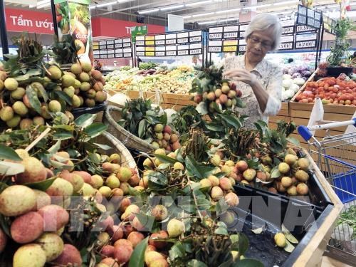 Nông sản Việt nhanh chóng thích ứng với thị trường chính ngạch