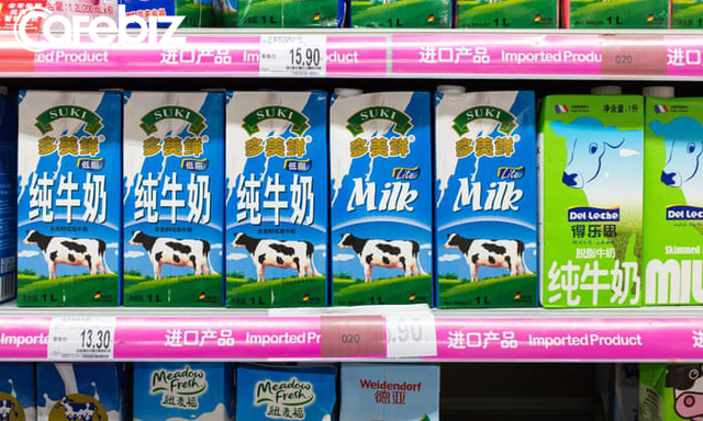 Cơn cuồng sữa của Trung Quốc đang hủy diệt thế giới như thế nào?