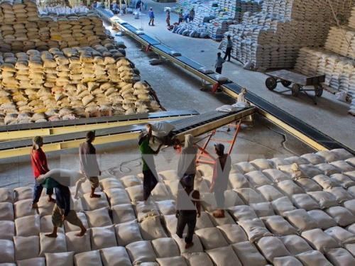 Xuất khẩu gạo thế giới trước những khó khăn