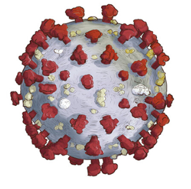 Thế giới đã biết những gì về coronavirus?