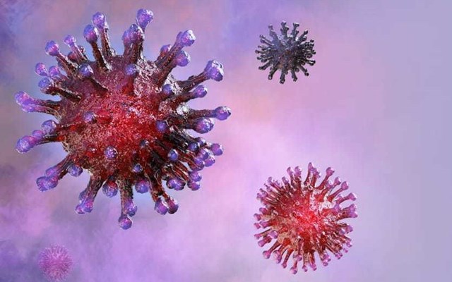 Cập nhật thông tin về virus corona ngày 12/2 và công tác phòng, chống dịch của Bộ CT