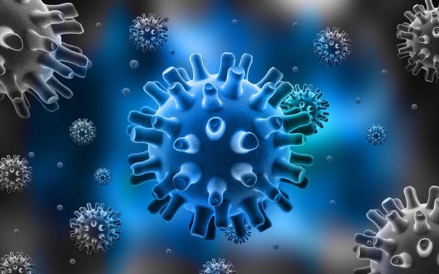 Cập nhật thông tin về virus corona ngày 13/2 và công tác phòng, chống dịch của Bộ CT