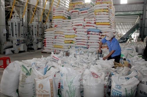 Long An kiến nghị xuất khẩu lại gạo nếp không giới hạn sản lượng