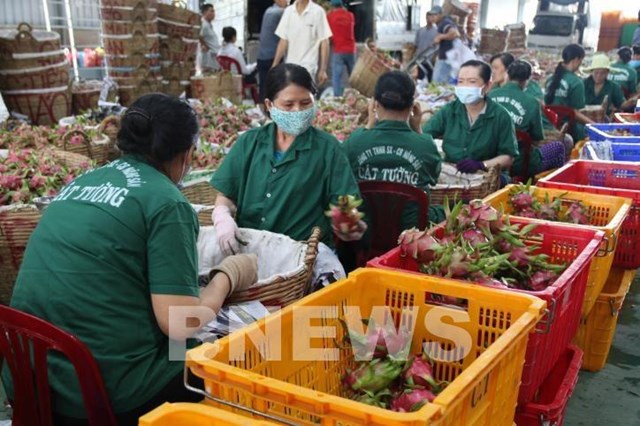 Khai phá thị trường Ấn Độ cho nông sản, thực phẩm chế biến của Việt Nam