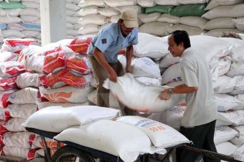USDA dự báo sản lượng - tiêu thụ - tồn trữ gạo thế giới (báo cáo tháng 1/2023)