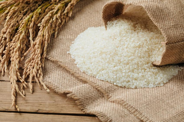 Thời tiết cực đoan gia tăng trên toàn cầu: Nắng nóng và lũ lụt ở khắp nơi