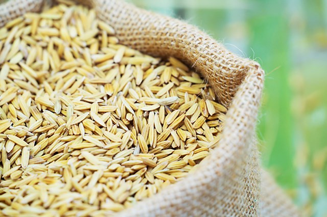 USDA dự báo nhập khẩu / sản lượng / tiêu thụ / tồn trữ gạo thế giới (báo cáo tháng 10/2021)