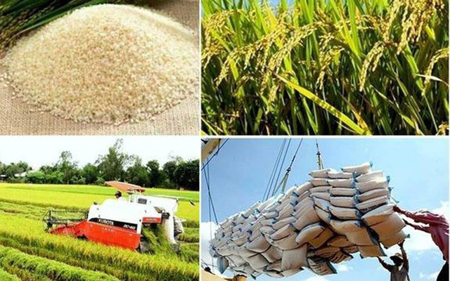 Tin vui cho DN XK: Nhiều dấu hiệu nhập khẩu gạo thế giới năm 2018 sẽ sôi động