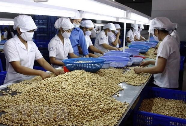 Nông sản xuất khẩu có thể chịu ảnh hưởng từ quy định SPS mới của WTO