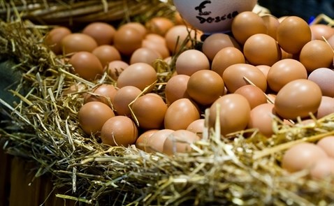 Đại gia Nhật muốn "chen chân" vào thị trường trứng Việt Nam