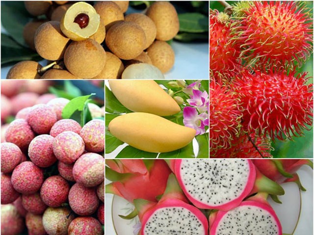 Thái Lan đặt mục tiêu xuất khẩu hơn nửa triệu tấn trái cây sang Trung Quốc vào năm 2022