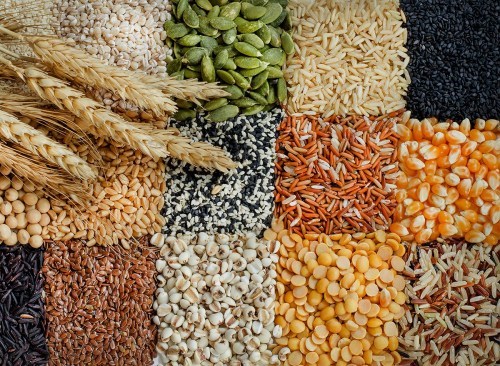 Báo cáo tháng 12/2022 của USDA về thị trường ngũ cốc thế giới