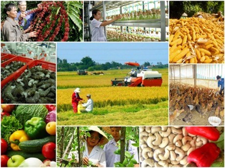 Báo cáo của USDA về cung cầu nông sản thế giới