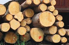 Indonesia và EU ký thoả thuận lịch sử về thương mại gỗ