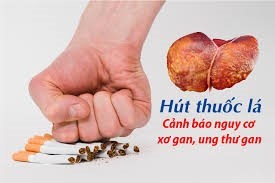 Thói quen hút thuốc lá – nguyên nhân gây ung thư gan