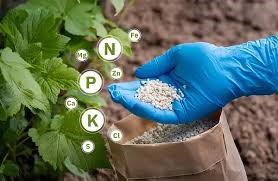 Xung đột ở Iran làm gián đoạn cung cấp phân bón toàn cầu ở thời điểm quan trọng