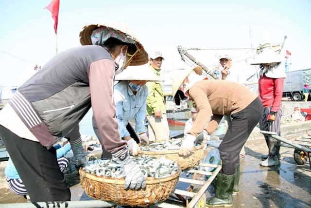 Khai trương 25 điểm kinh doanh hải sản an toàn tại Hà Tĩnh