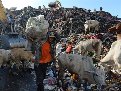 Vay tiền ngân hàng và trả bằng ... rác