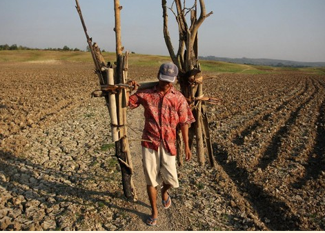 El Nino mạnh lên đe dọa thị trường hàng hóa